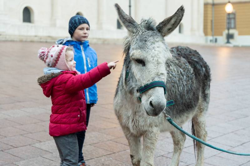 2025_12_20_szallast keres_02.jpg